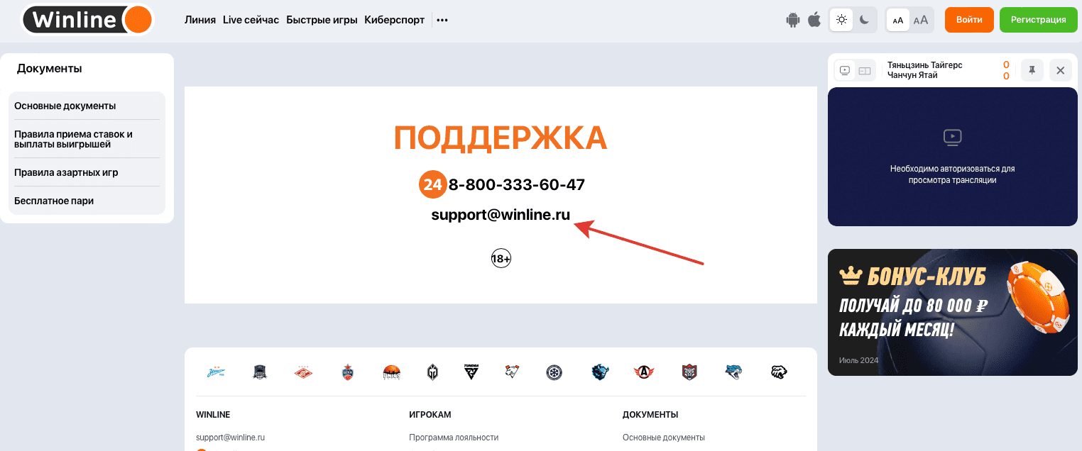 промокод винлайн что делать если не ввел